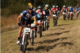 dirtmax 4