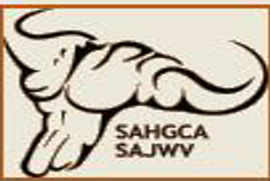 sajwv1