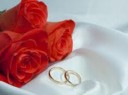 wedding venue parys